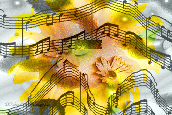 sunflowermusic2.jpg